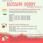 Load image into Gallery viewer, Diglings Blossom Buddy
