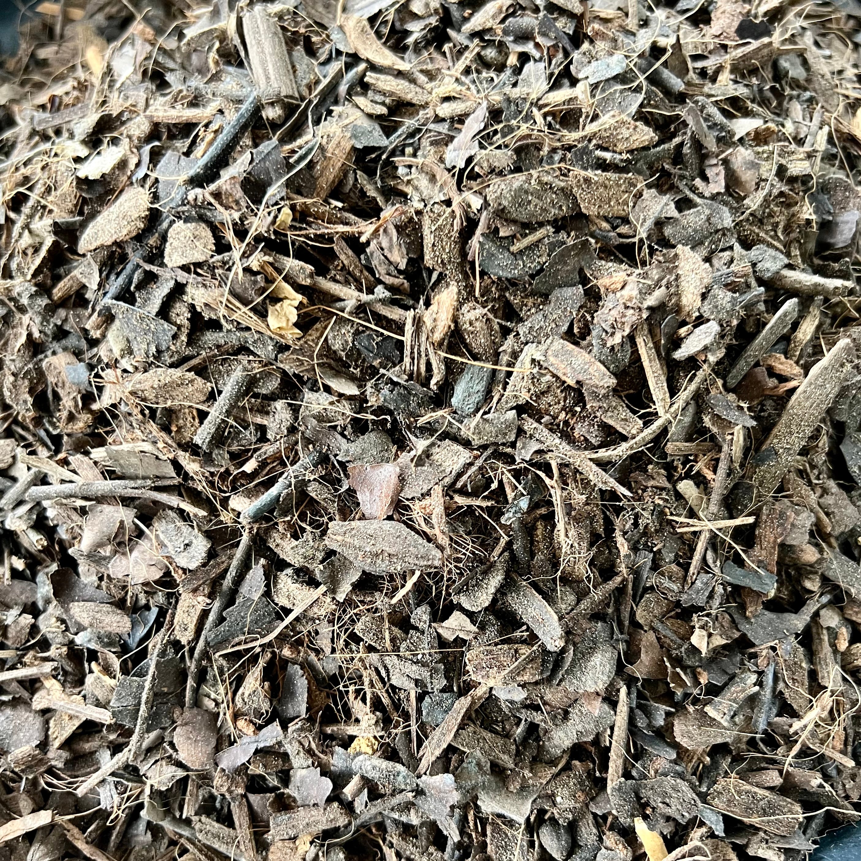 Indoor Mulch