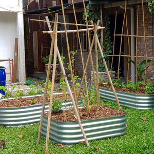 Grow Tong - Square & Rectangle