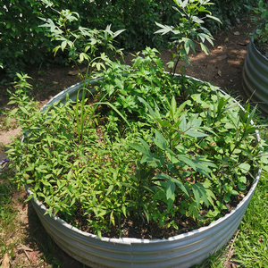 Grow Tongs - Round