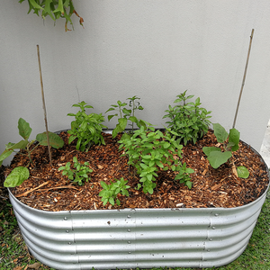 Grow Tongs - Oval