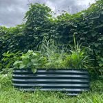 Load image into Gallery viewer, Grow Tongs - Oval (Dark Grey Limited Edition)

