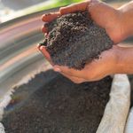 Load image into Gallery viewer, True Top Soil
