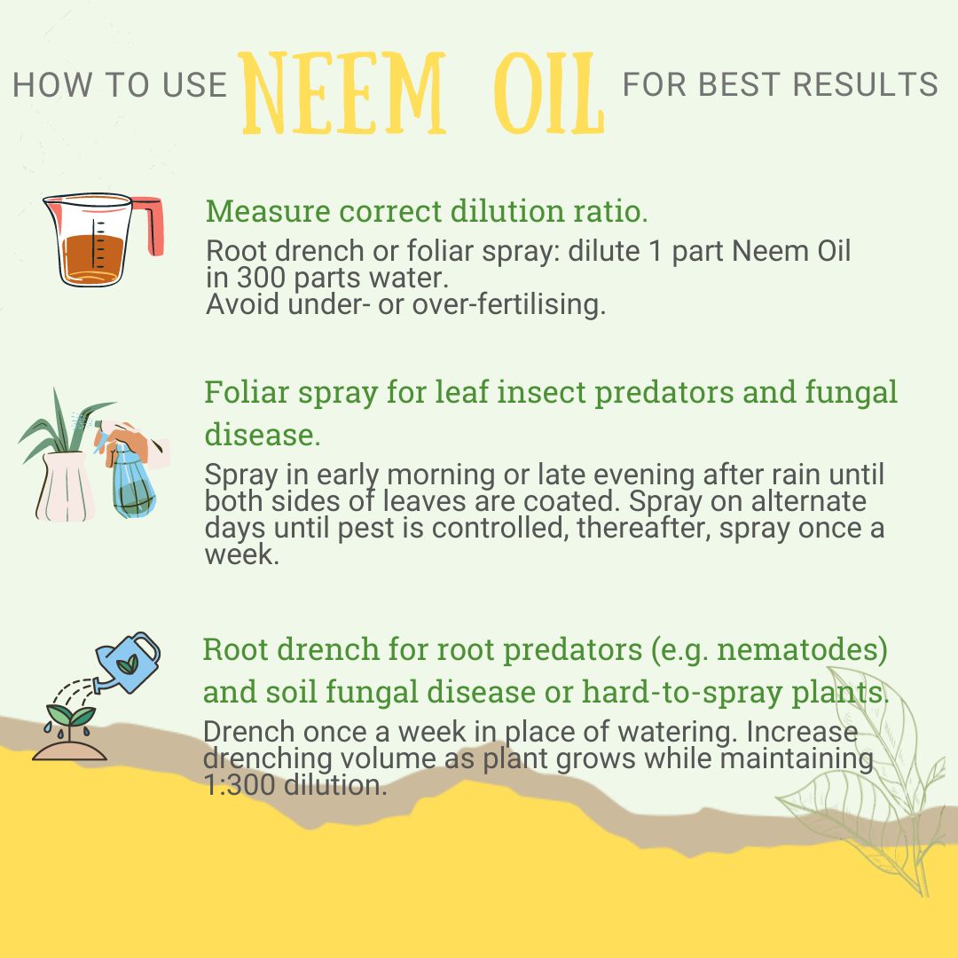 Diglings Neem Oil (Cold Pressed)