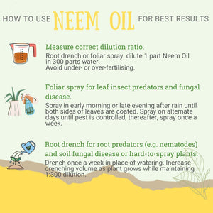 Diglings Neem Oil (Cold Pressed)