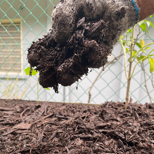 Cultured Mulch