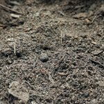 Load image into Gallery viewer, Raw Organic Compost
