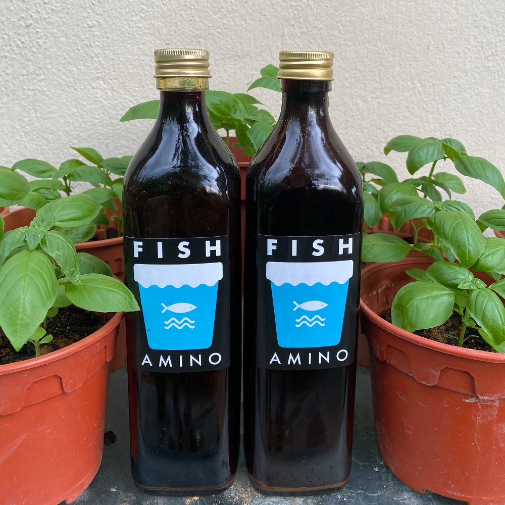 Fish Amino Acid