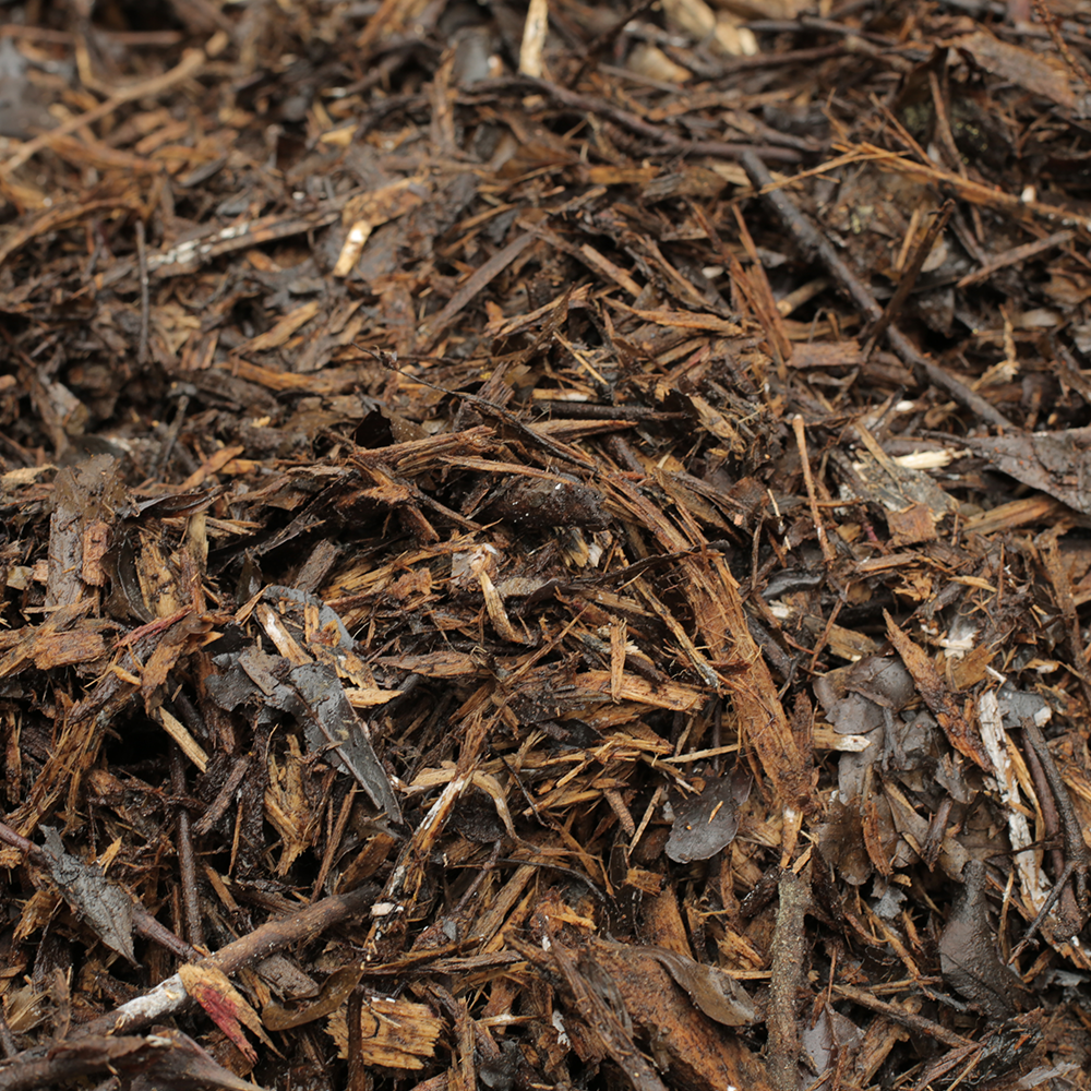 Mulch (No-Dig Garden Layers)