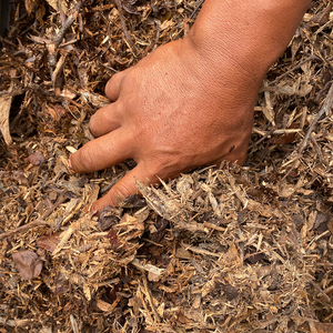 Mulch (No-Dig Garden Layers)