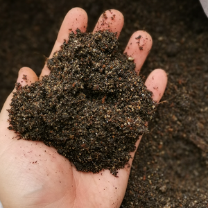 Balanced Potting Mix