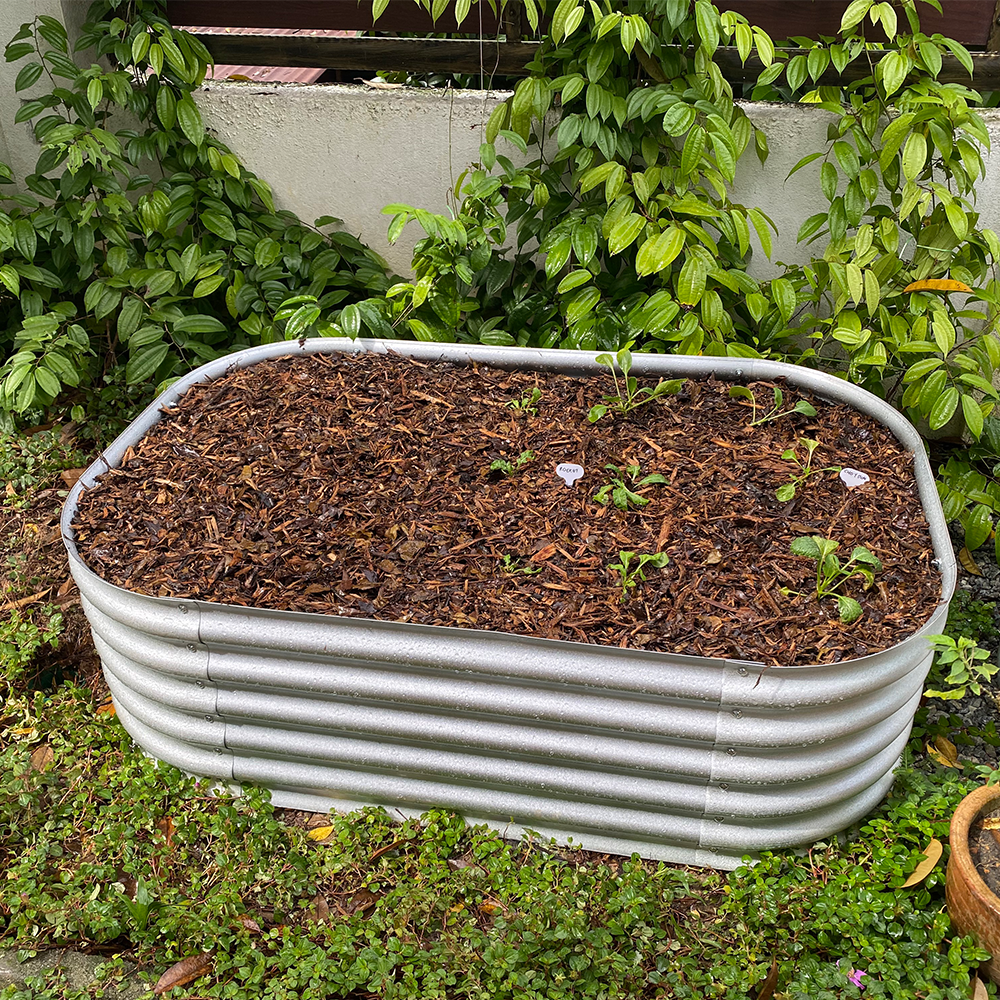 Grow Tong - Square & Rectangle