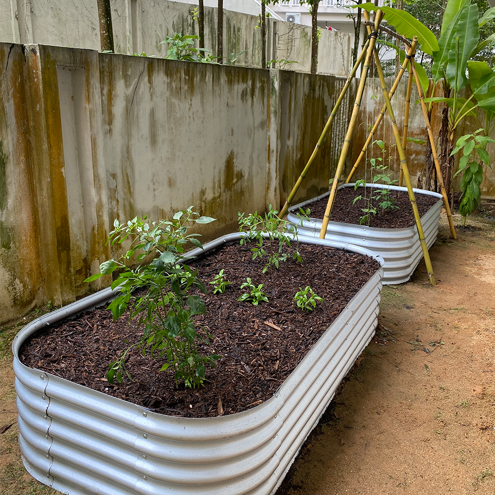 Grow Tong - Square & Rectangle
