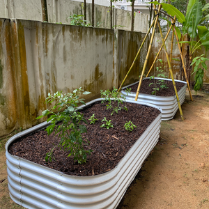 Grow Tong - Square & Rectangle