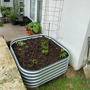 Grow Tong - Square & Rectangle